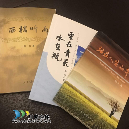 陈力：12年工作笔记铸就3本散文专辑的传奇(图2)