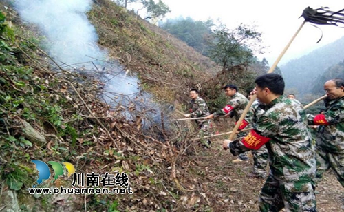 宜宾南溪区长兴镇组织开展森林防火应急演练活动(图2)