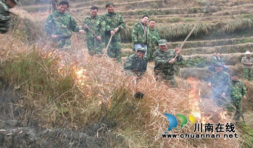 宜宾南溪区长兴镇组织开展森林防火应急演练活动(图3)