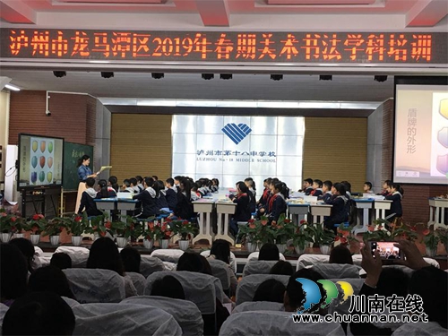 龙马潭区开展2019年春期美术书法学科培训(图1)