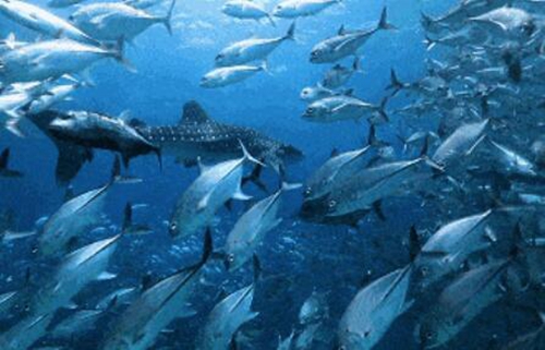 快来！佳乐世纪城在#萌娃游乐园#中@了你！(图2)