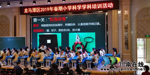 龙马潭区开展小学科学学科培训活动(图1)