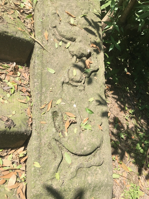 清明迁坟&nbsp;迁出百年题刻；家风传承&nbsp;后世不忘先泽(图5)