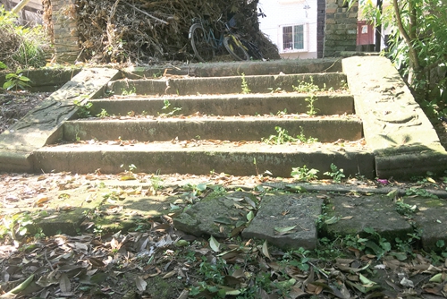 清明迁坟&nbsp;迁出百年题刻；家风传承&nbsp;后世不忘先泽(图6)