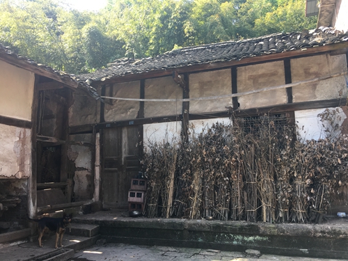 清明迁坟&nbsp;迁出百年题刻；家风传承&nbsp;后世不忘先泽(图7)