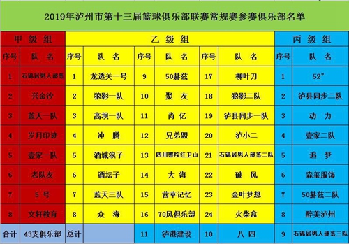 泸州市第13届篮球联赛常规赛再启程(图3)