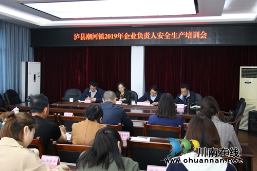 泸县潮河镇企业负责人安全生产培训会(图1)
