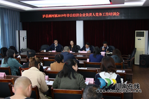 泸县潮河镇召开非公经济党组织负责人党务工作培训会(图1)