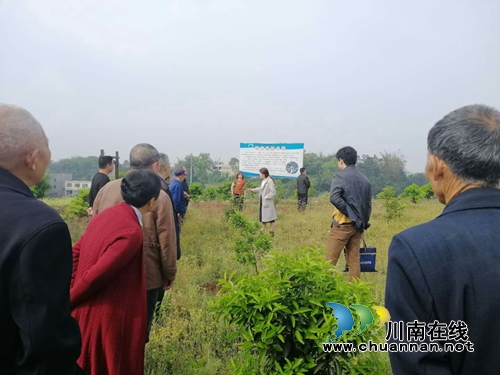 泸县太伏镇永利村党总支开展主题党日活动(图2)