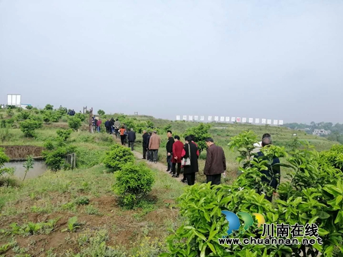 泸县太伏镇永利村党总支开展主题党日活动(图1)