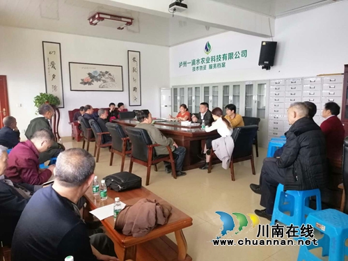 泸县太伏镇永利村党总支开展主题党日活动(图3)