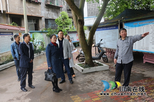 纳溪区开展“国家卫生乡镇”创建督导检查(图1)