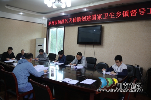 纳溪区开展“国家卫生乡镇”创建督导检查(图2)