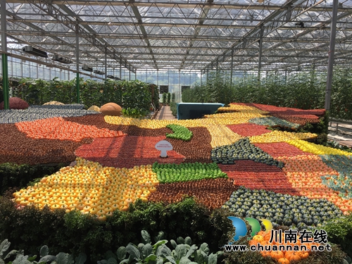 好吃好玩拿大奖！25日起到泸州董允坝乐享生活(图7)