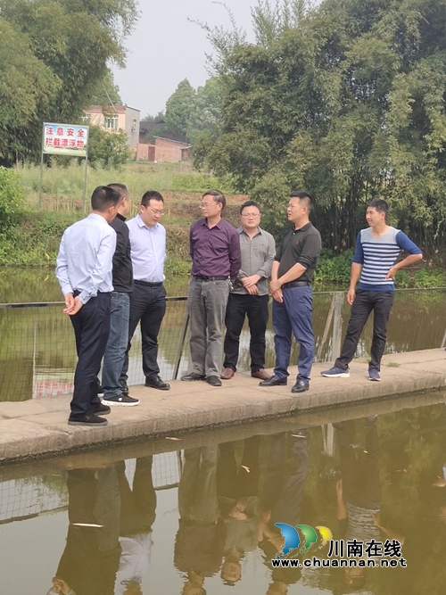 泸县县委副书记、泸州医药产业园党工委书记张学彬率队督导河长制工作(图1)