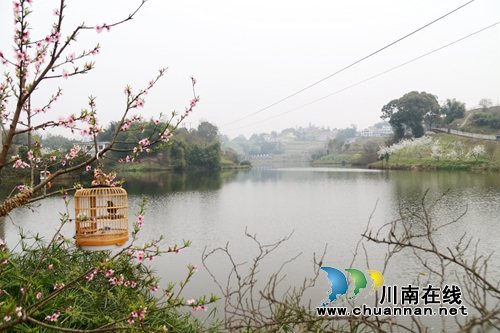 泸州龙马潭：村美民富产业兴&nbsp;美丽乡村换新颜(图5)