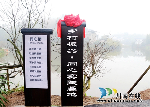 泸州龙马潭：村美民富产业兴&nbsp;美丽乡村换新颜(图6)