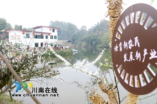 泸州龙马潭：村美民富产业兴&nbsp;美丽乡村换新颜(图8)