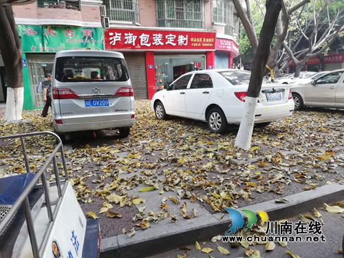 龙马潭环卫积极做好春季落叶清扫工作(图1)