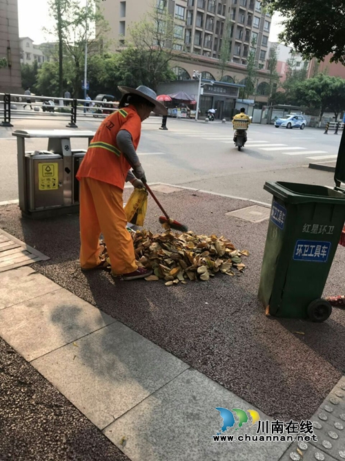龙马潭环卫积极做好春季落叶清扫工作(图2)