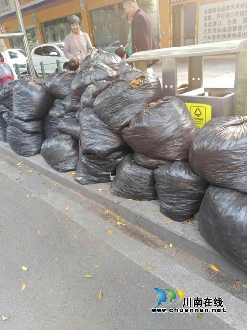 龙马潭环卫积极做好春季落叶清扫工作(图3)