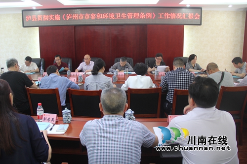 泸州市人大常委会执法检查第二组到泸县开展《泸州市市容和环境卫生管理条例》执法检查(图4)