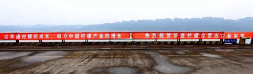 探索经验&nbsp;川南临港片区“试验”机遇与挑战并存(图6)