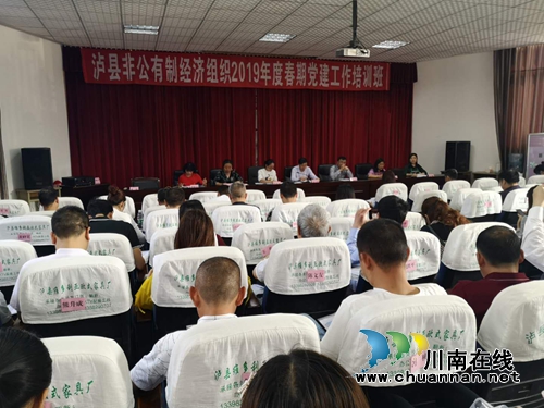 泸县举办非公经济组织2019年度春期党建工作培训班(图1)