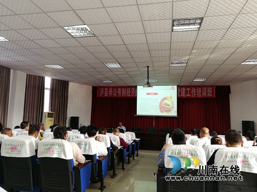 泸县举办非公经济组织2019年度春期党建工作培训班(图2)