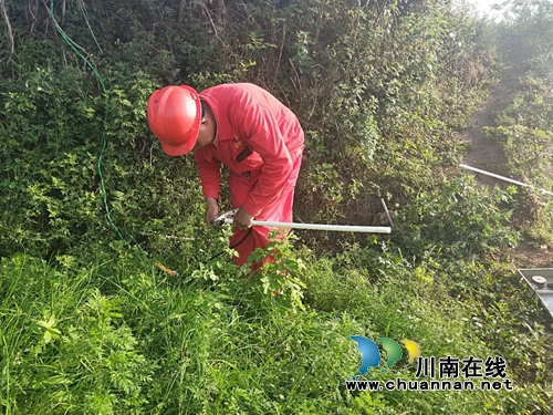 灾害过后&nbsp;泸县立石干群积极开展生产自救(图3)