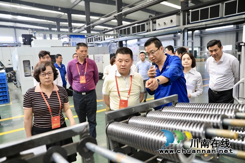 省政协调研组视察调研泸州国家高新区(图1)