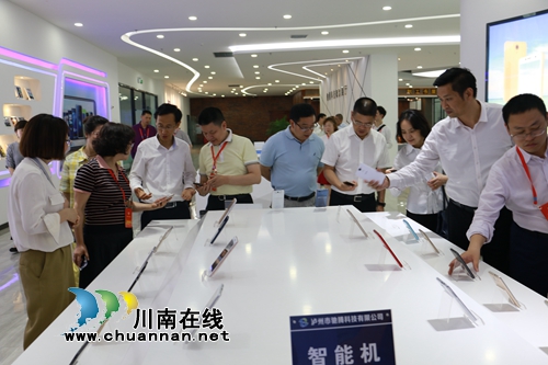 省政协调研组视察调研泸州国家高新区(图3)