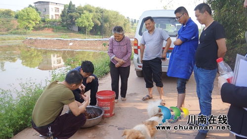 泸县立石镇“三产融合”发展助力脱贫攻坚(图4)