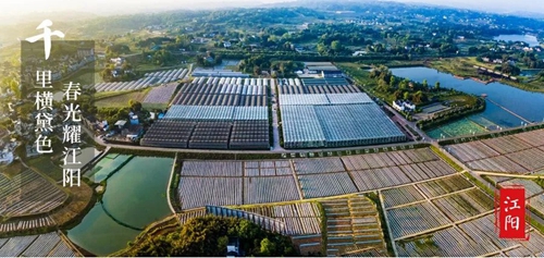 大江之阳董允坝&nbsp;美丽乡村嘉年华(图19)