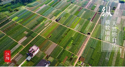 大江之阳董允坝&nbsp;美丽乡村嘉年华(图20)