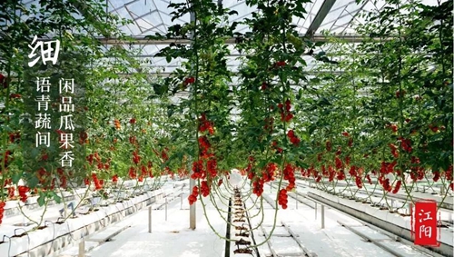 大江之阳董允坝&nbsp;美丽乡村嘉年华(图16)