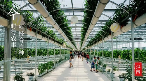 大江之阳董允坝&nbsp;美丽乡村嘉年华(图18)