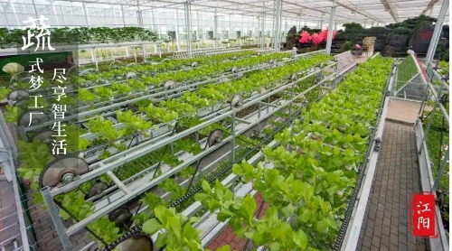 大江之阳董允坝&nbsp;美丽乡村嘉年华(图3)