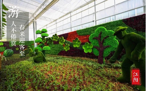 大江之阳董允坝&nbsp;美丽乡村嘉年华(图17)