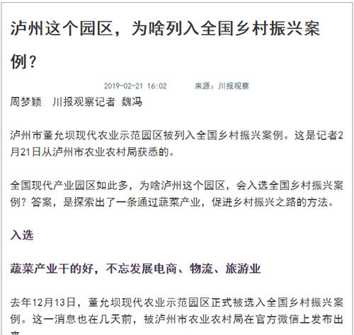 大江之阳董允坝&nbsp;美丽乡村嘉年华(图12)