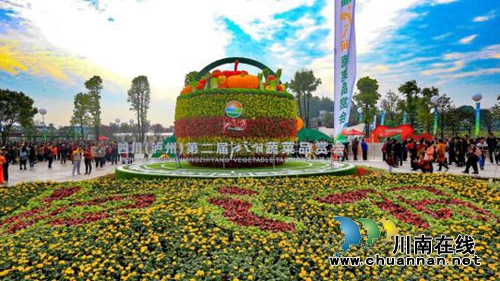 大江之阳董允坝&nbsp;美丽乡村嘉年华(图7)