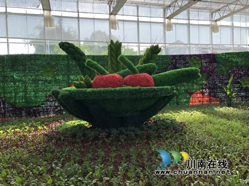 五一节去哪嗨？泸州“蔬菜王国”等你来开味(图12)