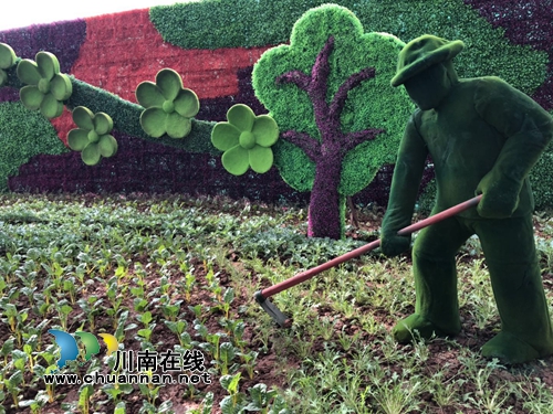 五一节去哪嗨？泸州“蔬菜王国”等你来开味(图13)