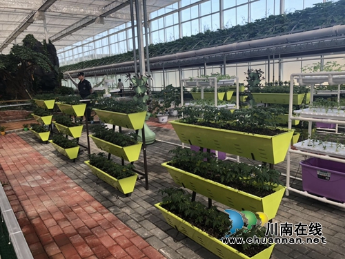 五一节去哪嗨？泸州“蔬菜王国”等你来开味(图15)