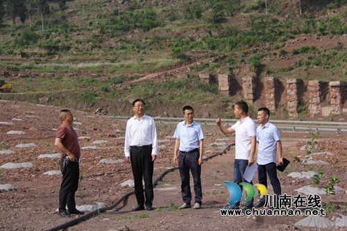 仙潭集团开展“两新联百村·党建助振兴”活动(图9)