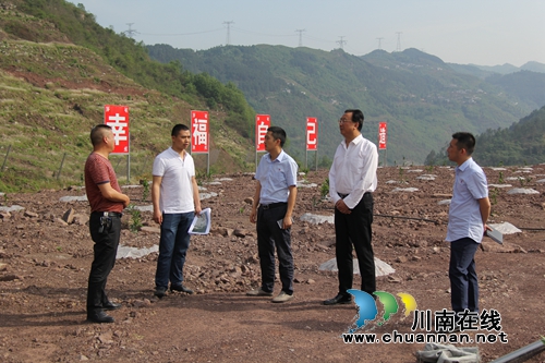 仙潭集团开展“两新联百村·党建助振兴”活动(图10)