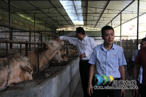 仙潭集团开展“两新联百村·党建助振兴”活动(图12)