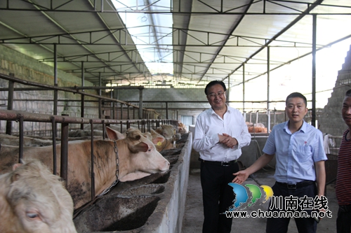 仙潭集团开展“两新联百村·党建助振兴”活动(图11)