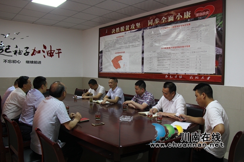 仙潭集团开展“两新联百村·党建助振兴”活动(图4)