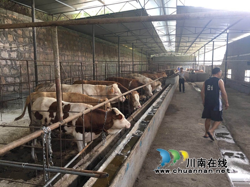 仙潭集团开展“两新联百村·党建助振兴”活动(图14)